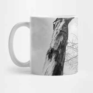 Dead bent and crooked tree in black and white Mug